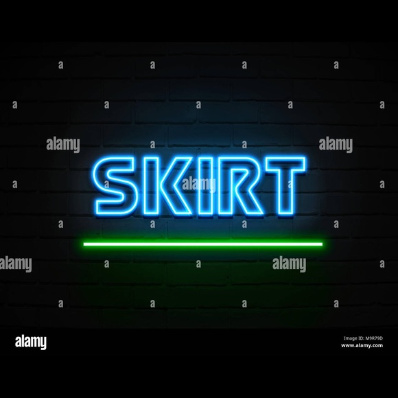 Skirt - Picture 1 of 1